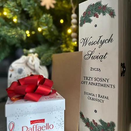 Trzy Sosny Loft Сasa de vacaciones *